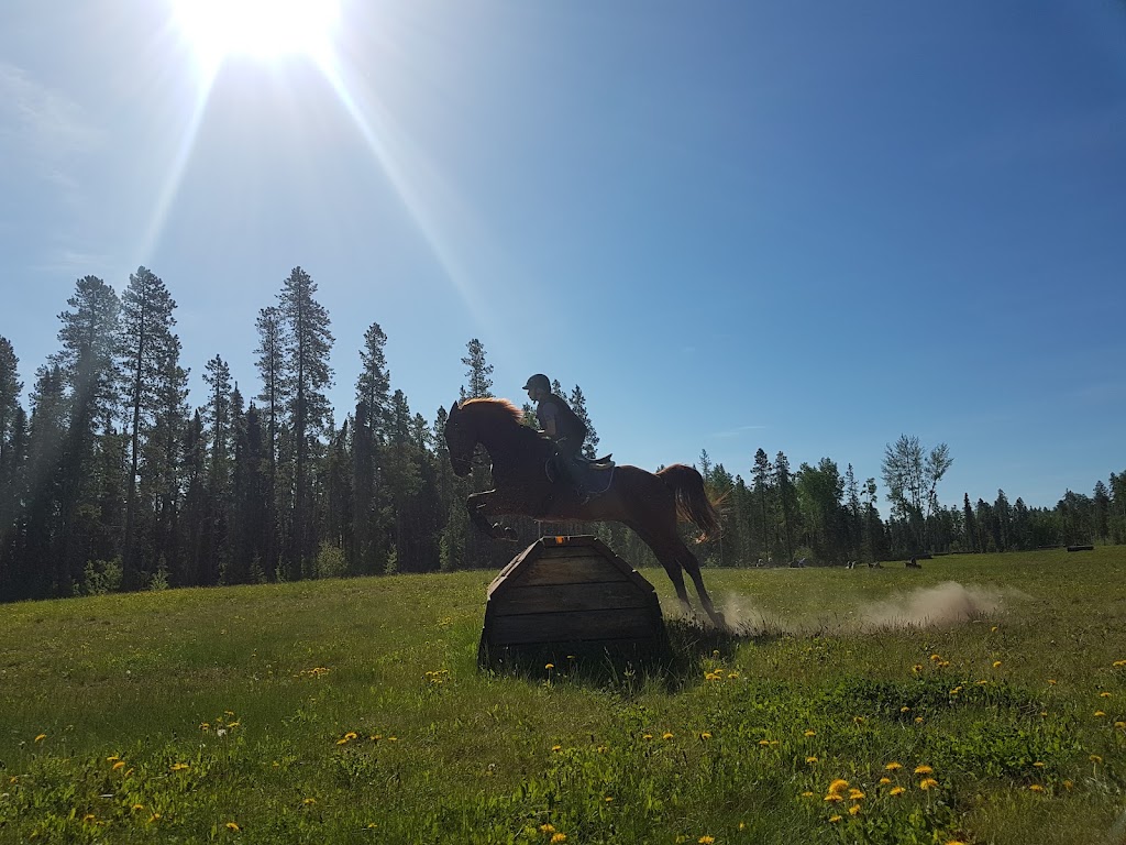 Prentice Creek Equestrian Centre | Clearwater County, AB T0M 0C0, Canada | Phone: (403) 846-8756