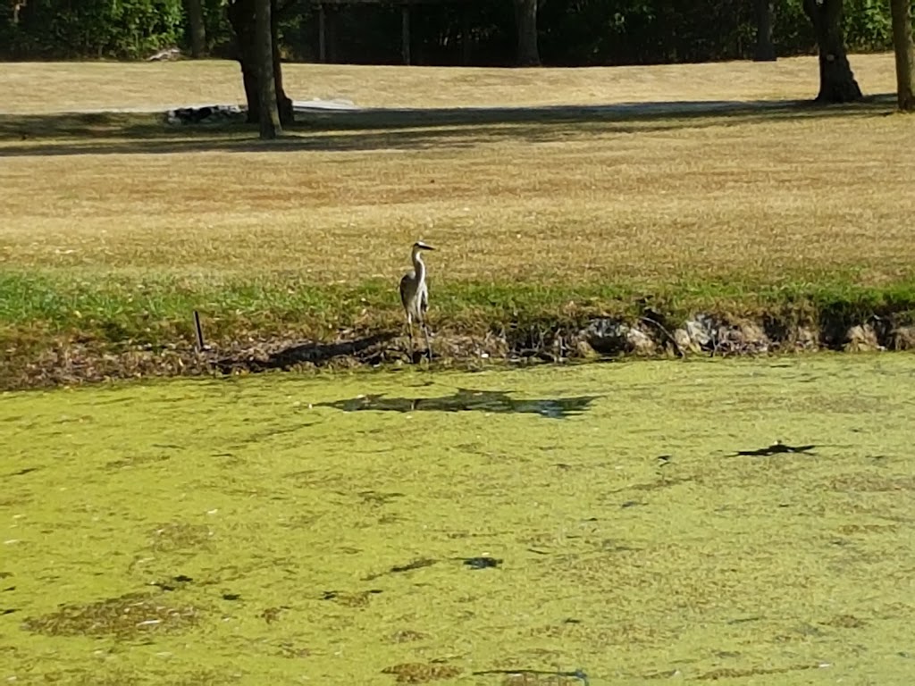 Garden City Golf Course | 37 Lincoln Ave, St. Catharines, ON L2P 2C7, Canada | Phone: (905) 688-5601 ext. 1677