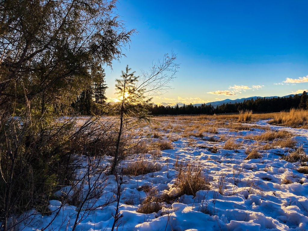 Cranbrook Community Forest | 101 Kootenay Hwy, East Kootenay C, BC, Canada | Phone: (877) 952-7277