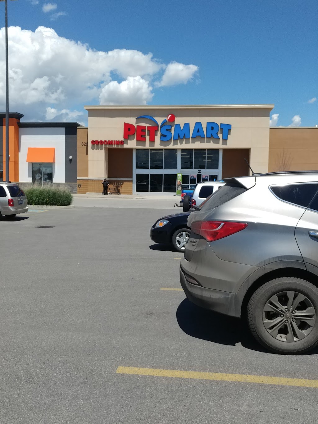 PetSmart | 823 St Clair St, Chatham-Kent, ON N7M 5J7, Canada | Phone: (519) 352-2636