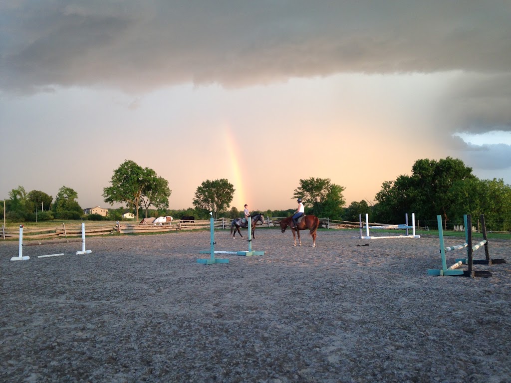 Meadowvale Farm Equestrian Centre | 1247 Corkery Rd, Carp, ON K0A 1L0, Canada | Phone: (613) 256-8170