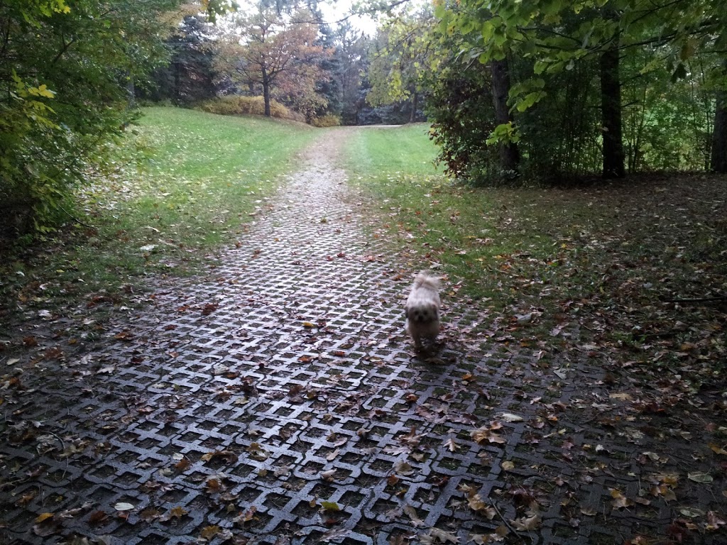 Bestview Hiking Trails | Unnamed Road, North York, ON M2M, Canada