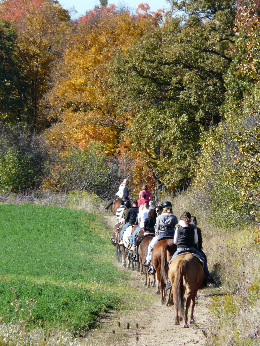 The Ranch | 2401 Burnhamthorpe Rd W, Oakville, ON L6M 4H1, Canada | Phone: (905) 469-2989