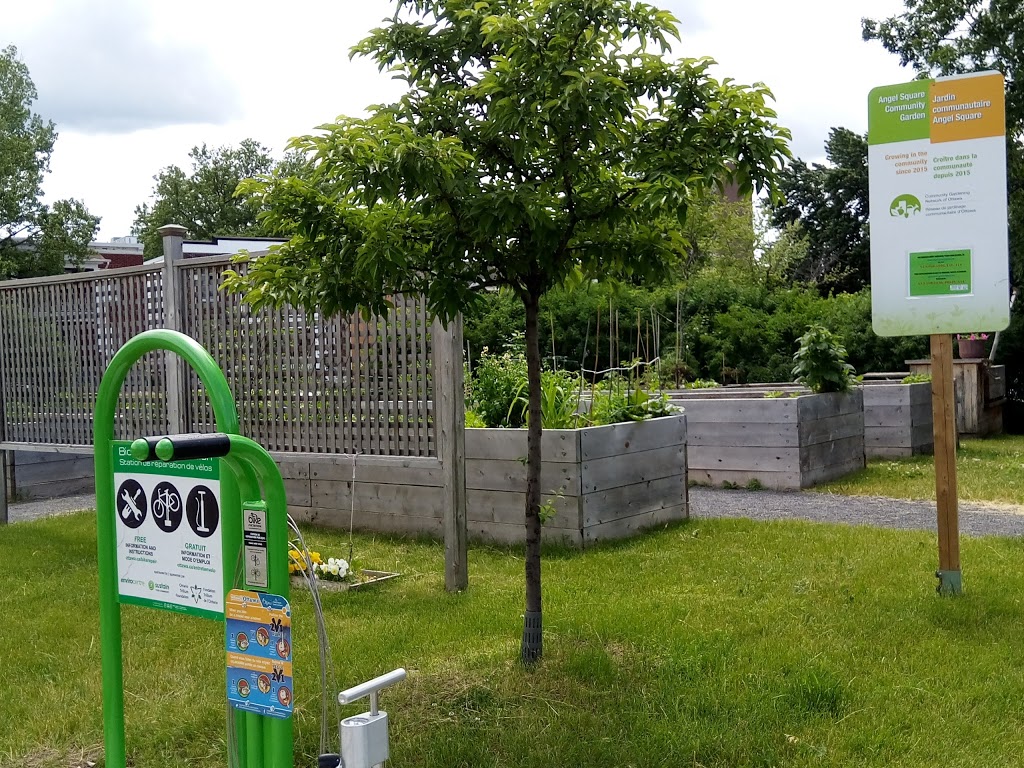 Angel Square Community Garden | 9G7, 40 Cobourg St, Ottawa, ON K1N 5N8, Canada | Phone: (613) 789-3930