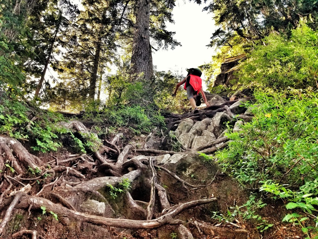 Goat Ridge Route | Goat Ridge Rte, North Vancouver, BC V7K 1X8, Canada