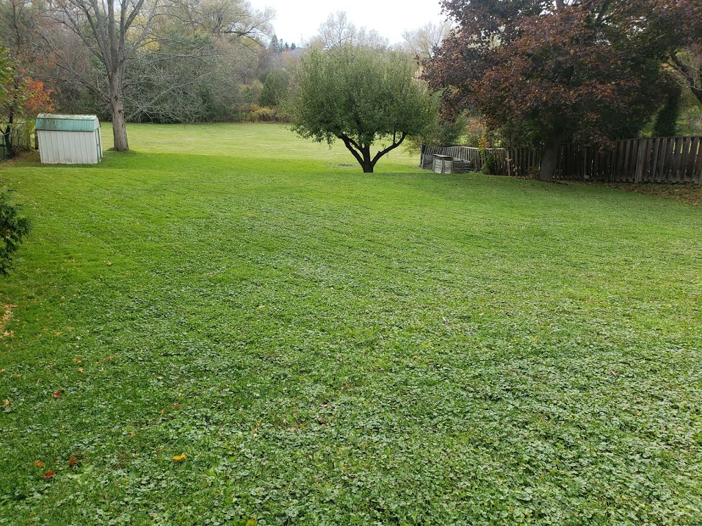 Green King Landscaping and Snow Removal | Thornhill, ON L3T 5W5, Canada | Phone: (647) 960-3552