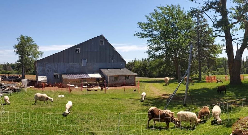 Malay Farmstead | 1735 Nodd Rd, Kinkora, PE C0B 1N0, Canada | Phone: (647) 834-1437