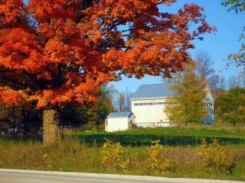 Beaver Valley Orchard and Cidery | 235883, Grey County Rd 13, Kimberley, ON N0C 1G0, Canada | Phone: (519) 599-1001