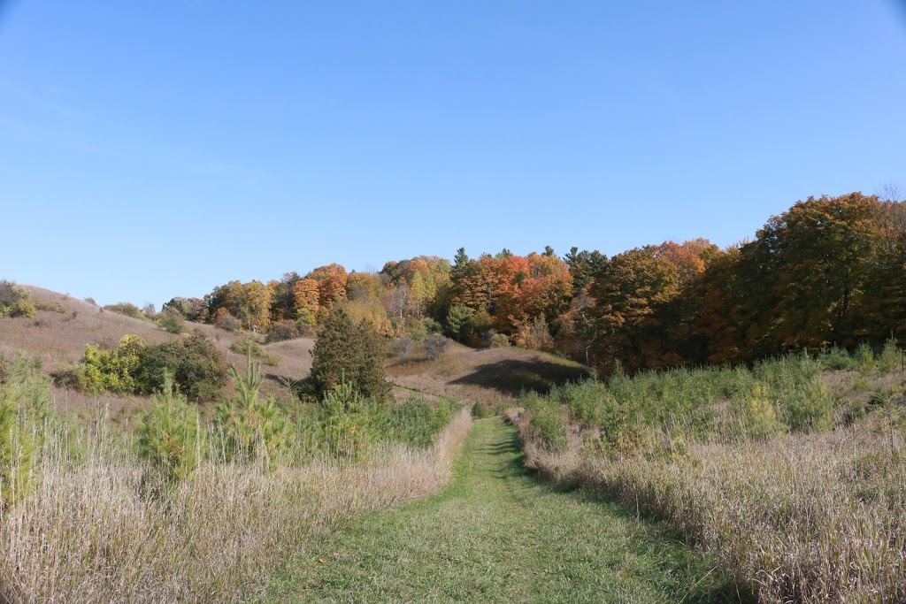 Happy Valley Tract | Township of King, 15430 7th Concession Rd, Schomberg, ON L0G 1T0, Canada