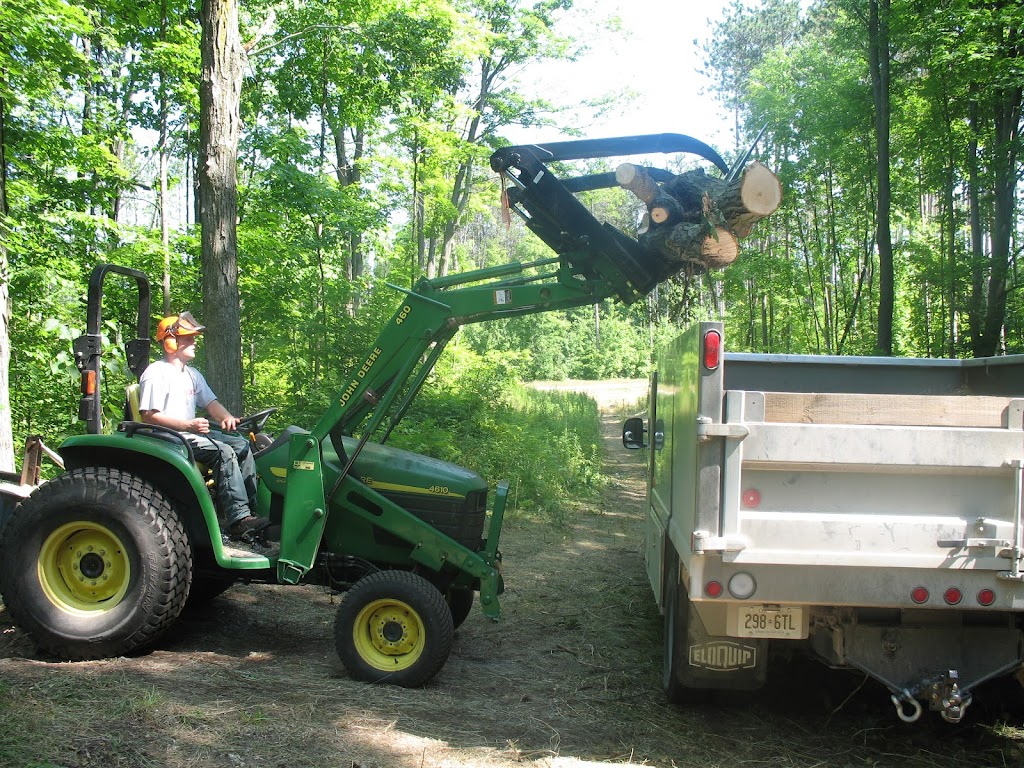 Skyline Tree Service Limited | 5095 Wixson St, Claremont, ON L1Y 1B6, Canada | Phone: (905) 649-3778