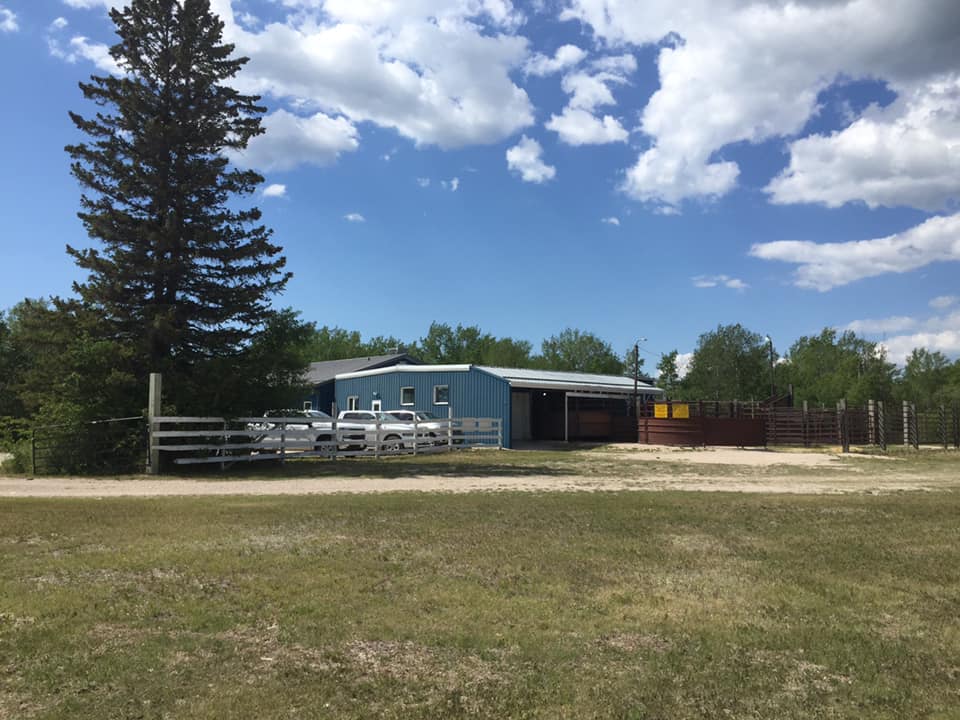 Ashern & District Vet Clinic | Silver Bay Rd Lot 1, Ashern, MB R0C 0E0, Canada | Phone: (204) 768-9609