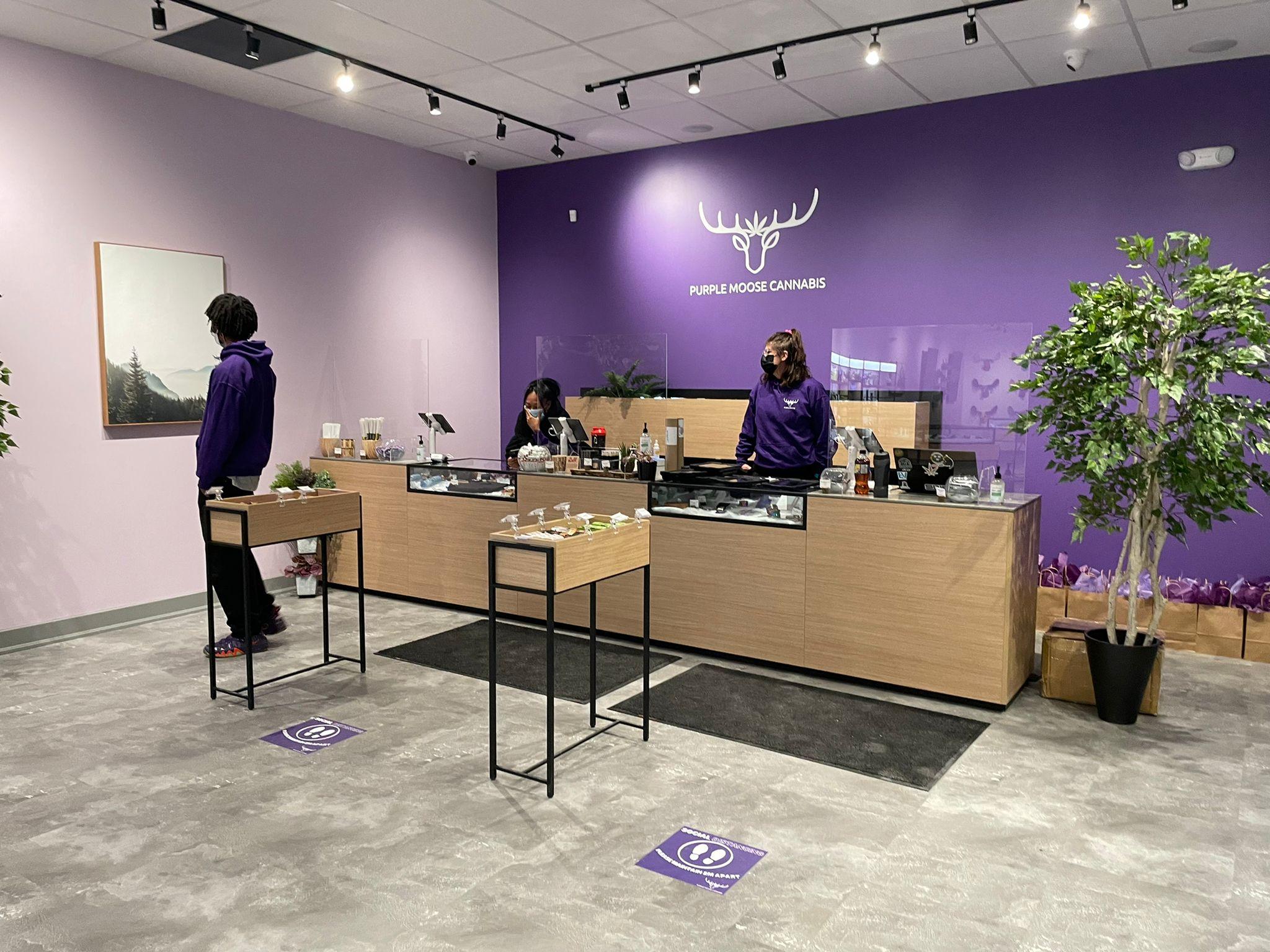 Purple Moose Cannabis - 1383 Lawrence Ave W | 1383 Lawrence Ave W, North York, ON M6L 1A4, Canada | Phone: (647) 258-9956