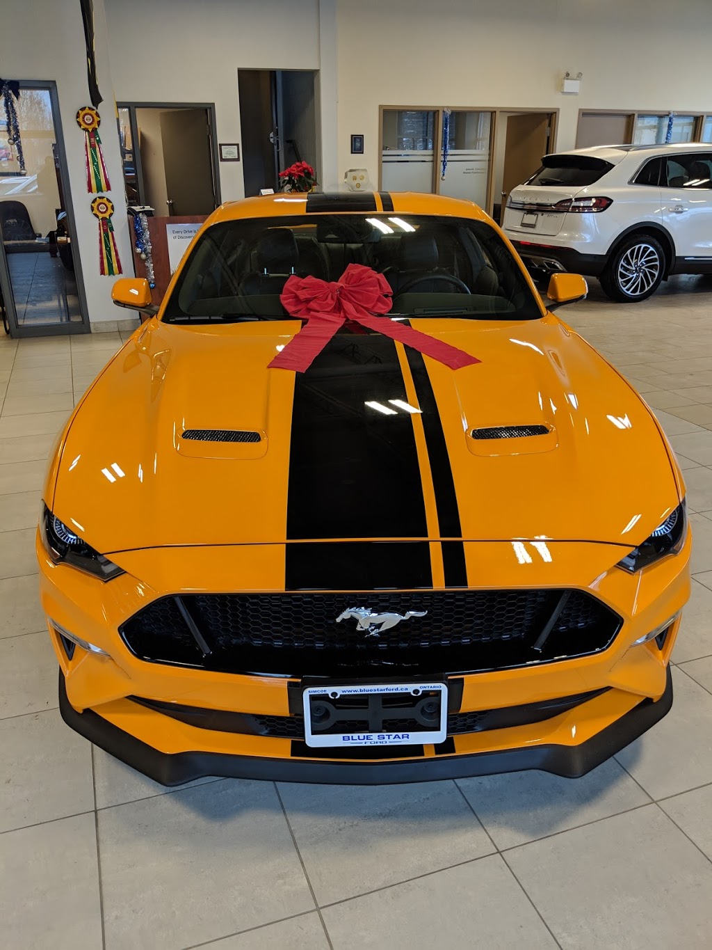 Blue Star Ford Lincoln Sales | 115 Queensway East, Simcoe, ON N3Y 4M5, Canada | Phone: (519) 426-3673