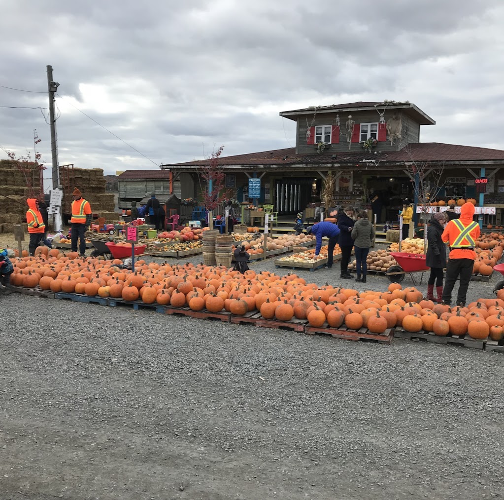 Palardy fruits & légumes kiosque | Boul Sir-Wilfrid-Laurier, Saint-Basile-le-Grand, QC J3N 1M3, Canada | Phone: (514) 838-9262