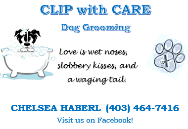 Clip With Care | Briar Crescent, Strathmore, AB T1P 1E7, Canada | Phone: (403) 464-7416