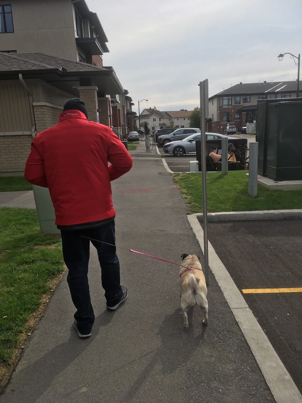 Dons Dog Walking | 27 Kane Terrace, Nepean, ON K2J 2A5, Canada | Phone: (613) 863-9262