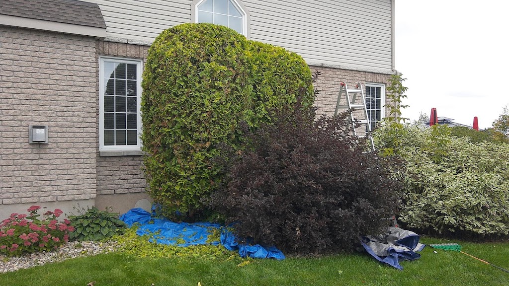 Precision Hedge and Landscaping | 1473 Bourcier Dr, Orléans, ON K1E 3K1, Canada | Phone: (613) 859-7828