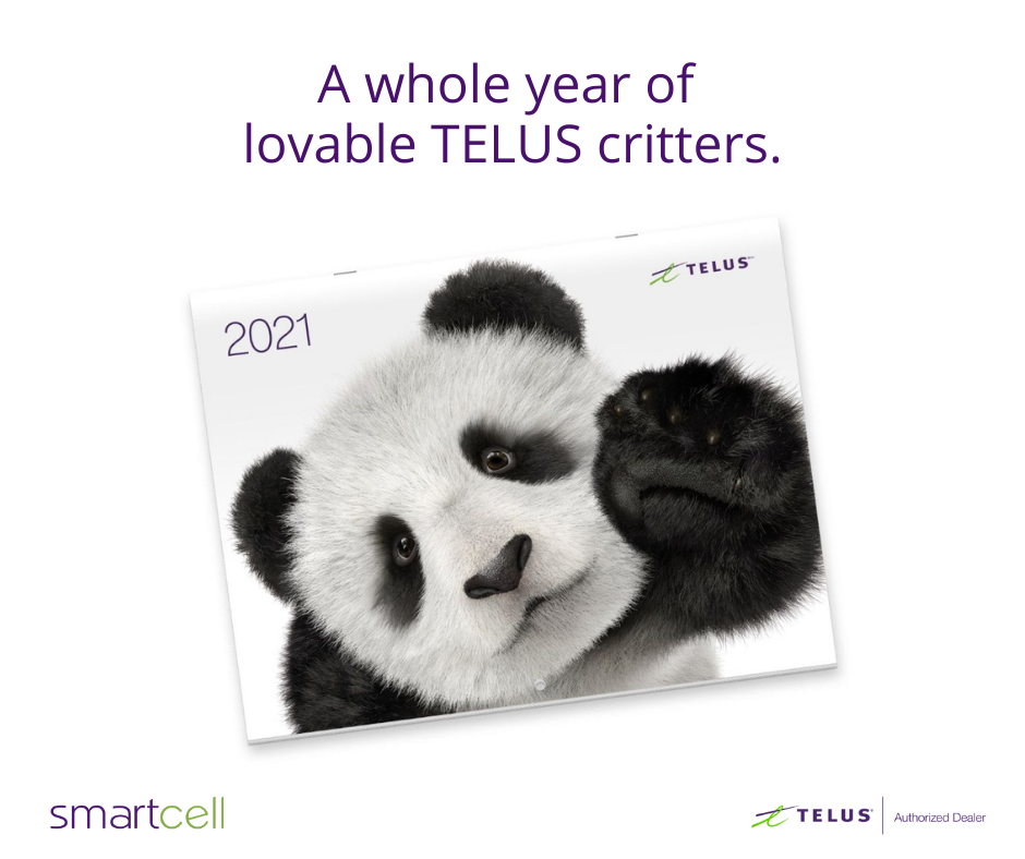 TELUS Koodo Shop | 24 Oak St E, Leamington, ON N8H 2C2, Canada | Phone: (519) 326-6789