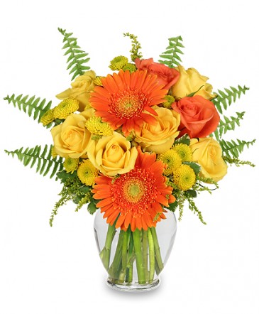 Flowers By Rosita | 330 George St, Port Stanley, ON N5L 1C6, Canada | Phone: (519) 782-4822