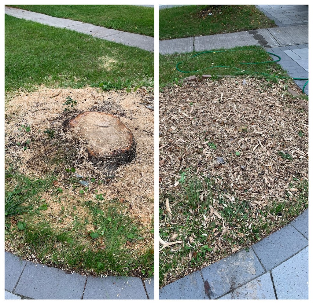 Stump King (Stump Removal Specialist) | 3381 Vernon Powell Dr, Oakville, ON L6H 0Y3, Canada | Phone: (416) 518-3152