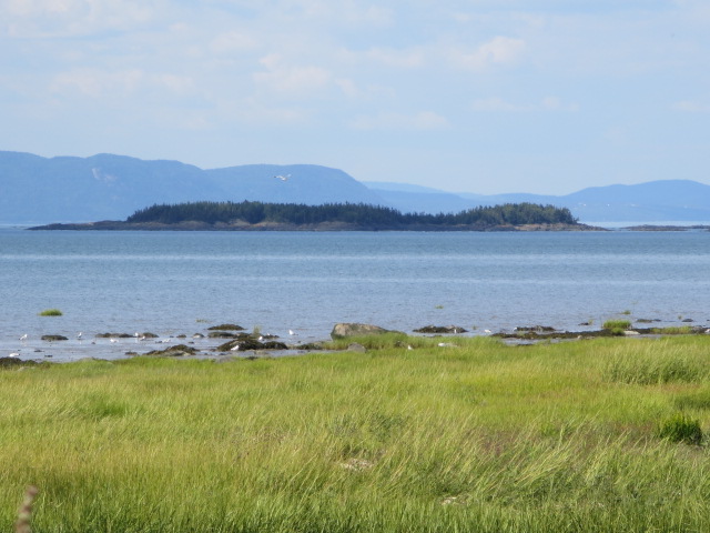 Excursions de la Providence | Av. LeBlanc, Kamouraska, QC G0L 1M0, Canada | Phone: (418) 551-5708