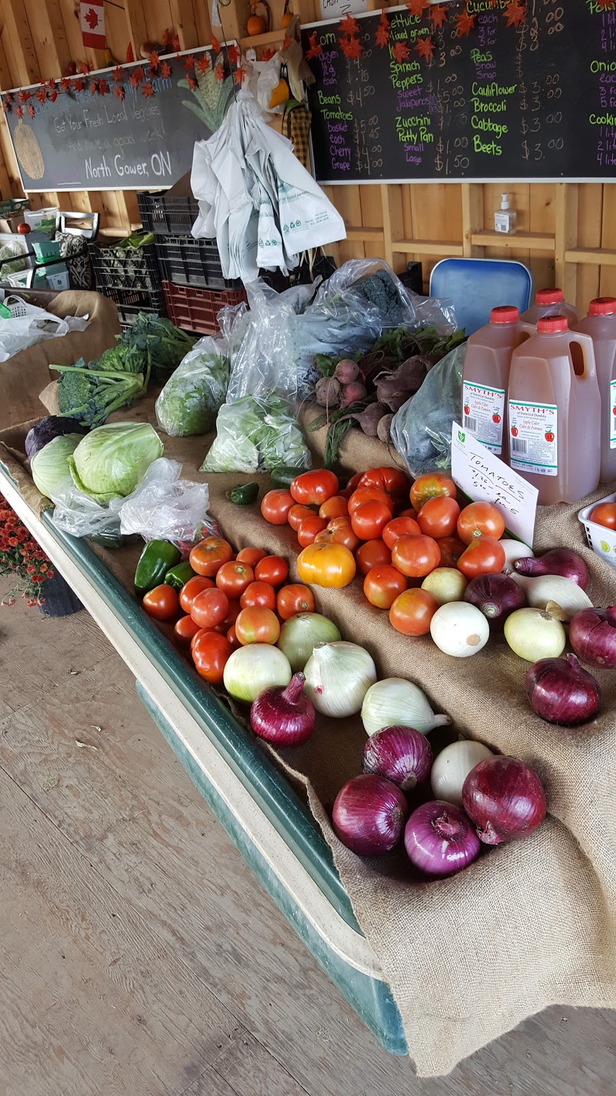 Foster Family Farm - PYO Strawberries | 2132 Lockhead Rd W, North Gower, ON K0A 2T0, Canada | Phone: (613) 851-3903