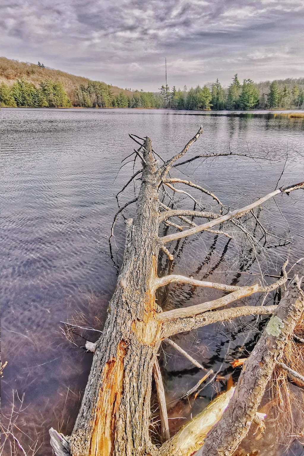 Fortune Lake | Prom. du Lac-Fortune, Chelsea, QC J9B 2N3, Canada | Phone: (613) 239-5000