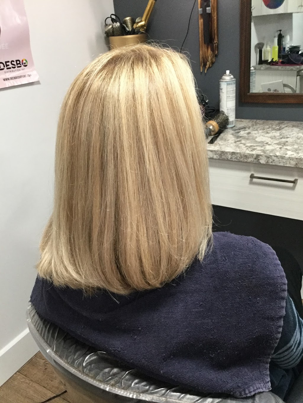 Coiffure du Vignoble enr. | 6661 Rue du Clair Obscur, Québec, QC G3E 2C5, Canada | Phone: (581) 997-7253