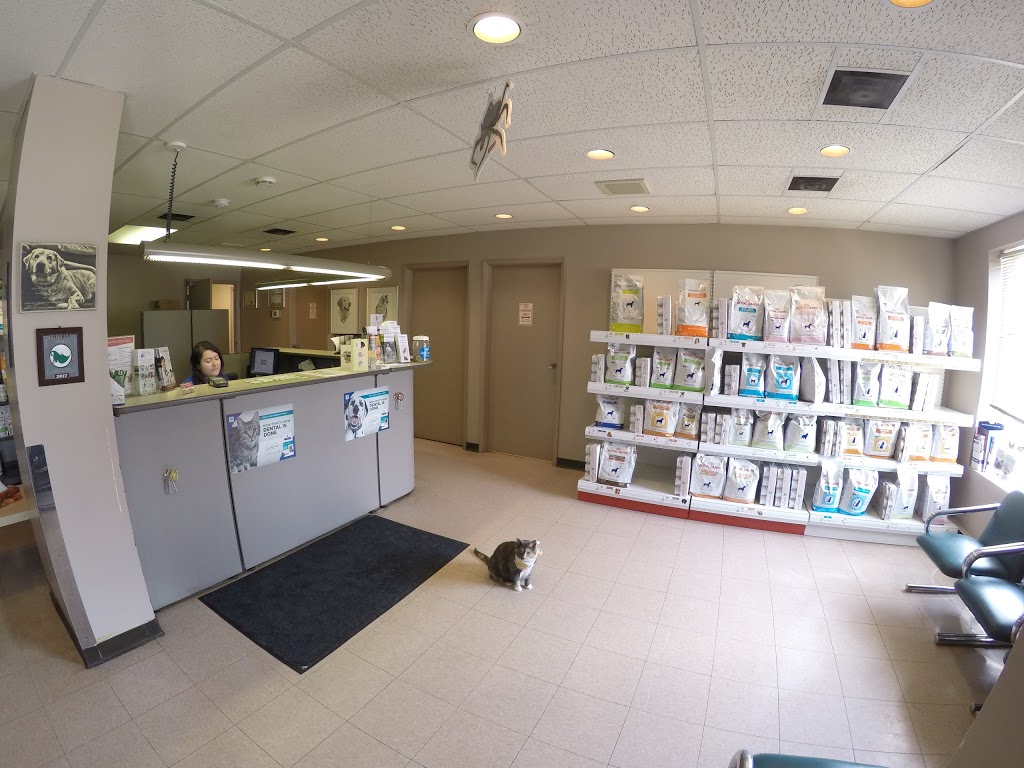 Glen Erin Animal Hospital | 2632 Liruma Rd, Mississauga, ON L5K 1Z1, Canada | Phone: (905) 822-9974