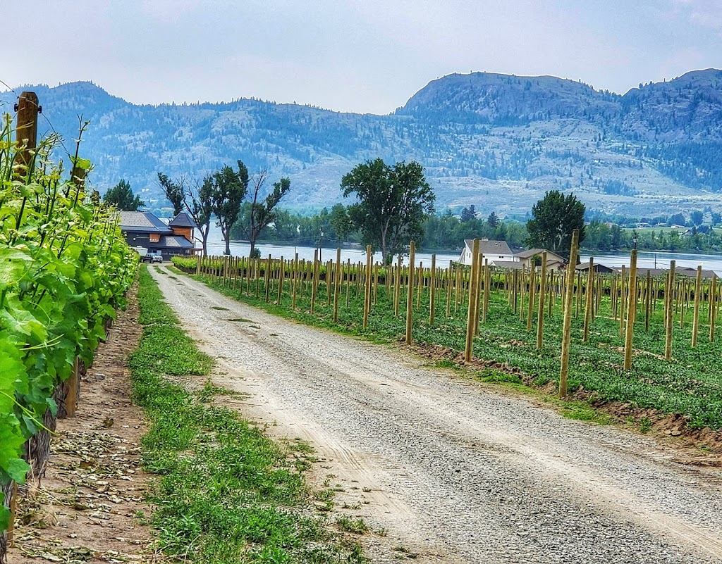 Lakeside Cellars | 5221 Lakeshore Dr Access Cellar Tasting Bar from, BC-3, Osoyoos, BC V0H 1V6, Canada | Phone: (250) 495-5810