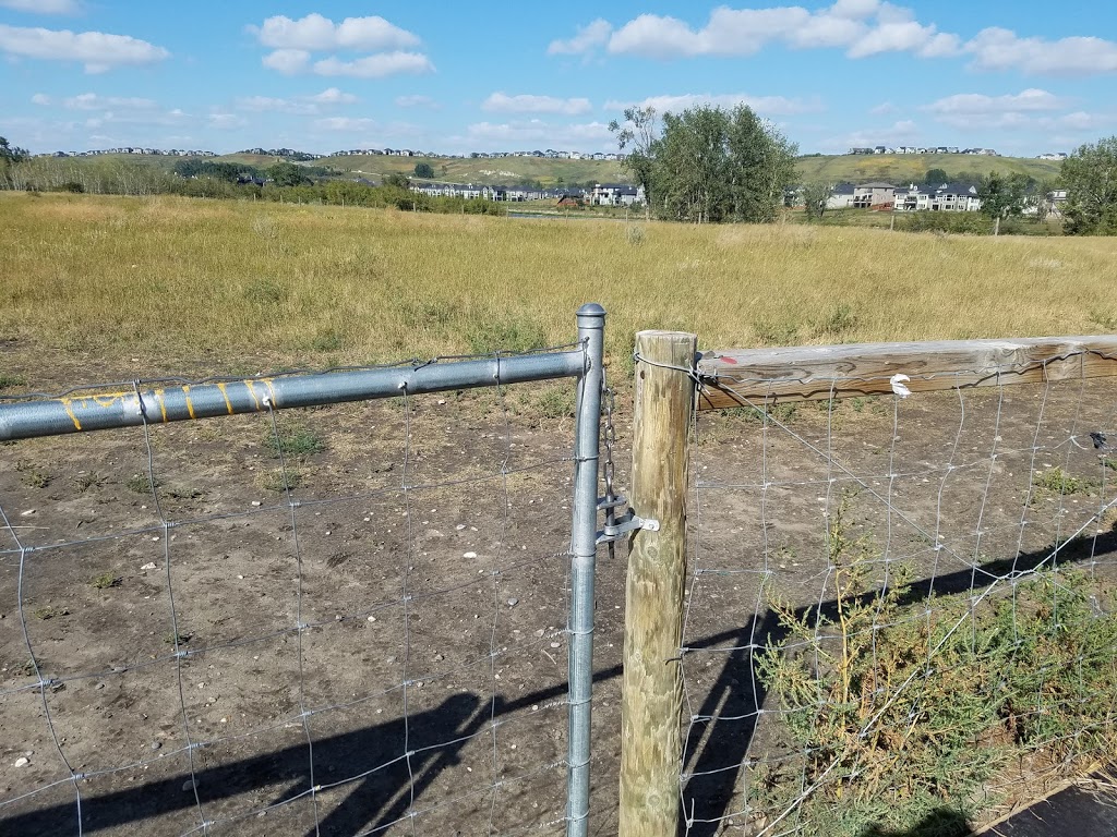 Dog Park | Southeast Calgary, Calgary, AB T0L 0X0, Canada