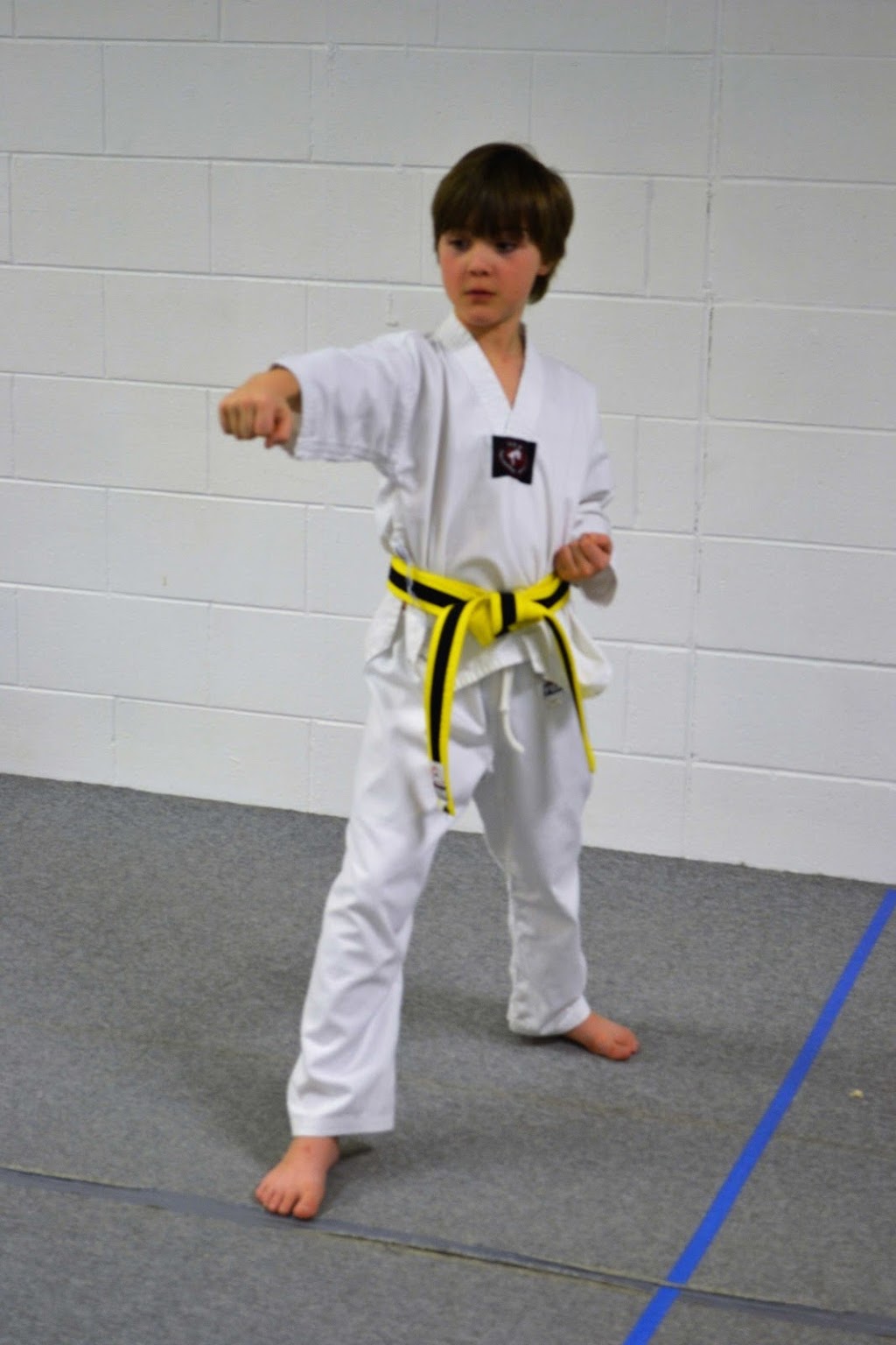 Than Phong Tae Kwon Do Peterborough | Crestwood Secondary School, Small Gym, Peterborough, ON K9J 7K2, Canada | Phone: (705) 749-1407