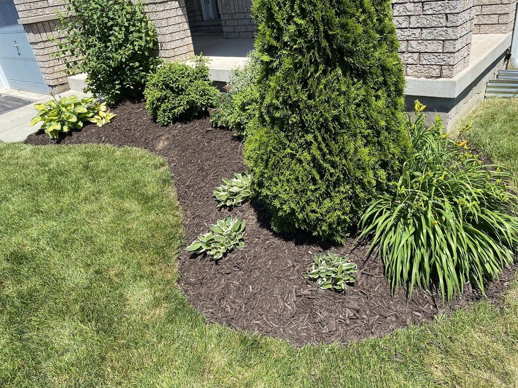 Donnieslawnmowingservice | 24 Nathalie Ct, Welland, ON L3B 6H7, Canada | Phone: (289) 931-8300