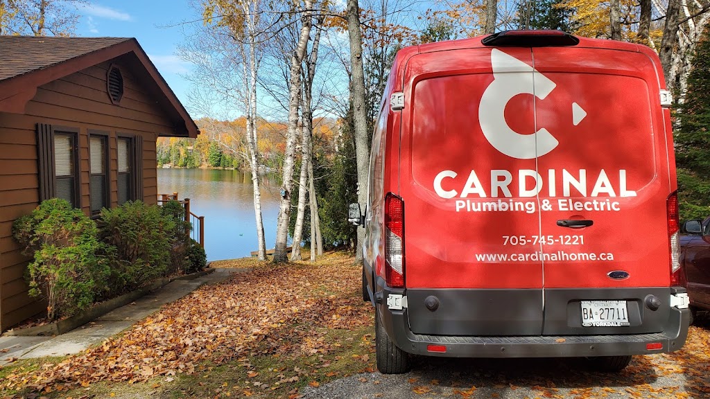 Cardinal Plumbing & Electric - Kawartha | 10 Denfield Rd, Lindsay, ON K9V 0B4, Canada | Phone: (705) 230-8788