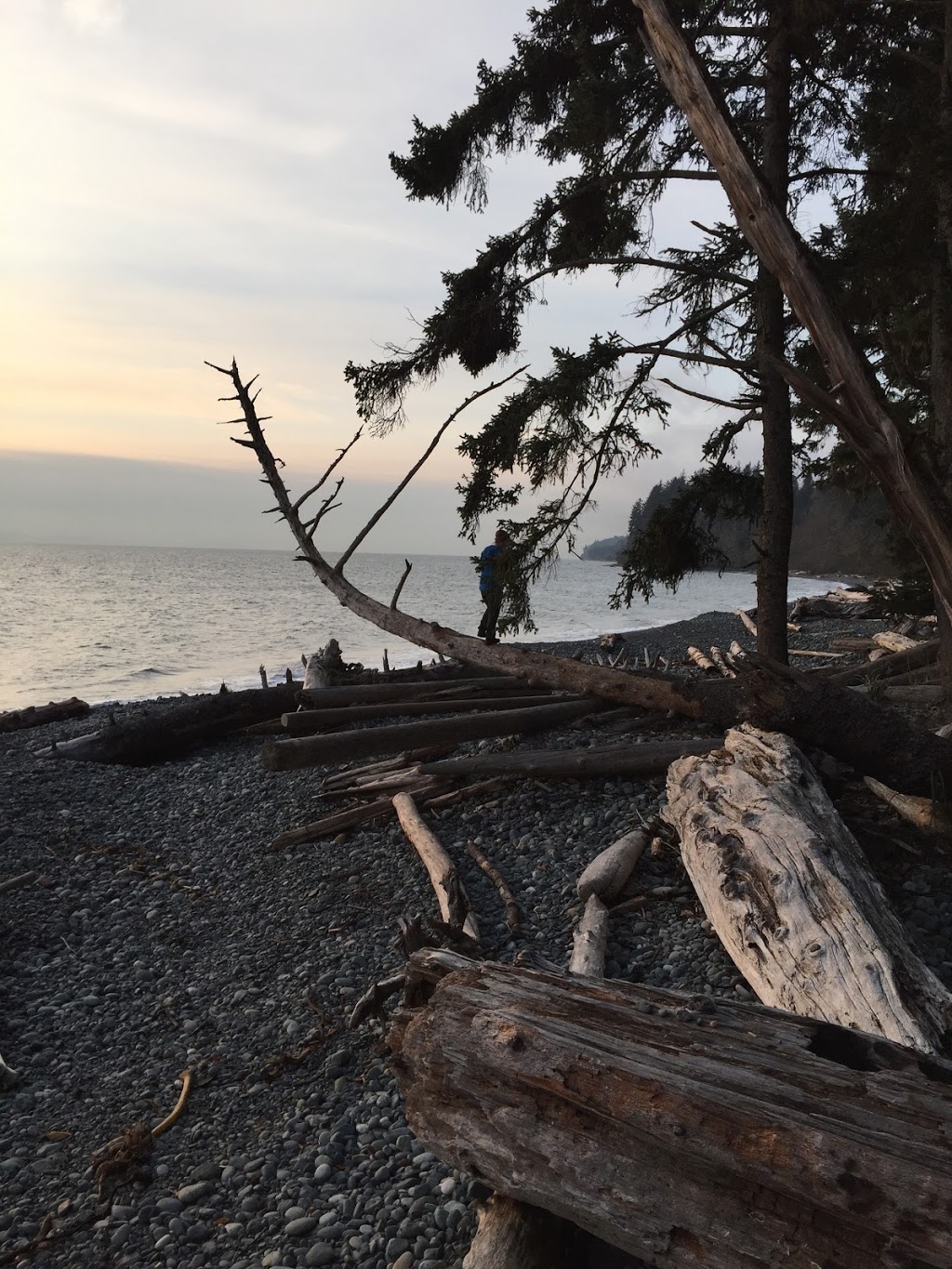 Juan de Fuca Trail Trailhead (Southeast / China Beach Terminus) | BC-14, Juan de Fuca, BC V0S, Canada