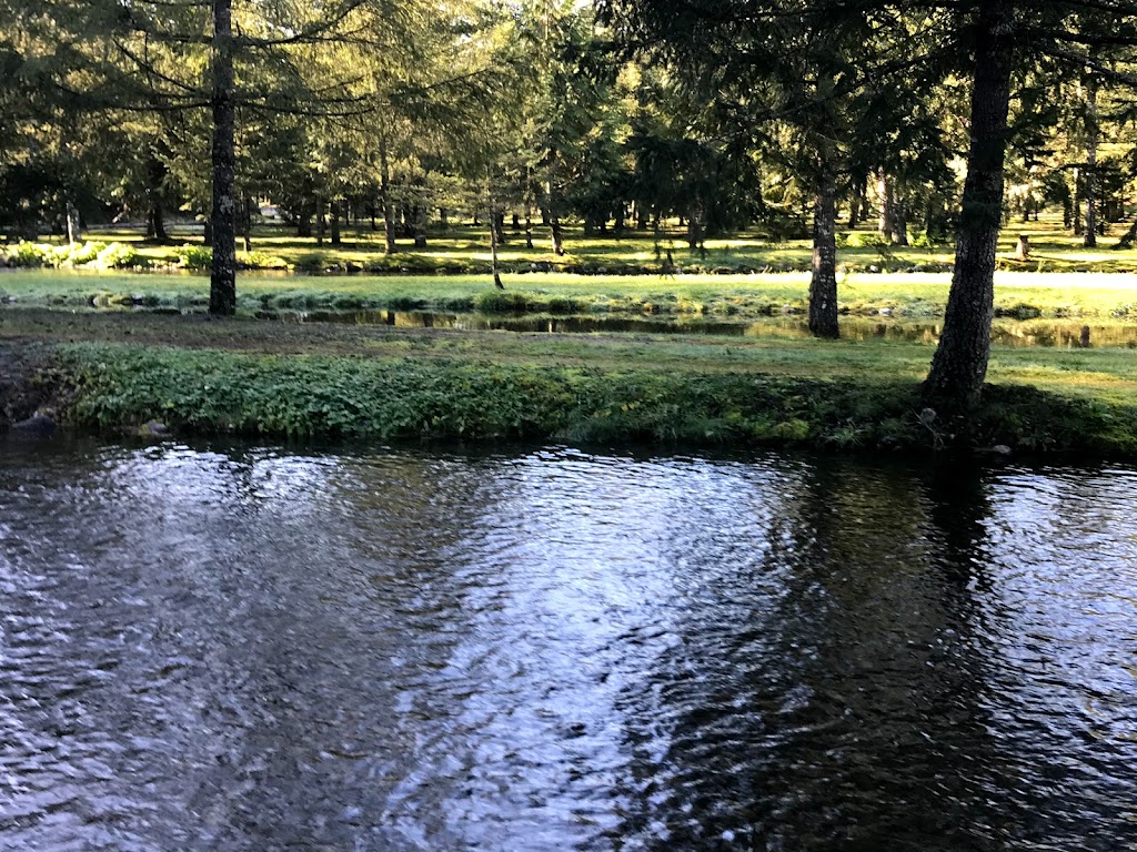 Chehalis River Hatchery | 16250 Morris Valley Rd, Agassiz, BC V0M 1A1, Canada | Phone: (604) 796-9444