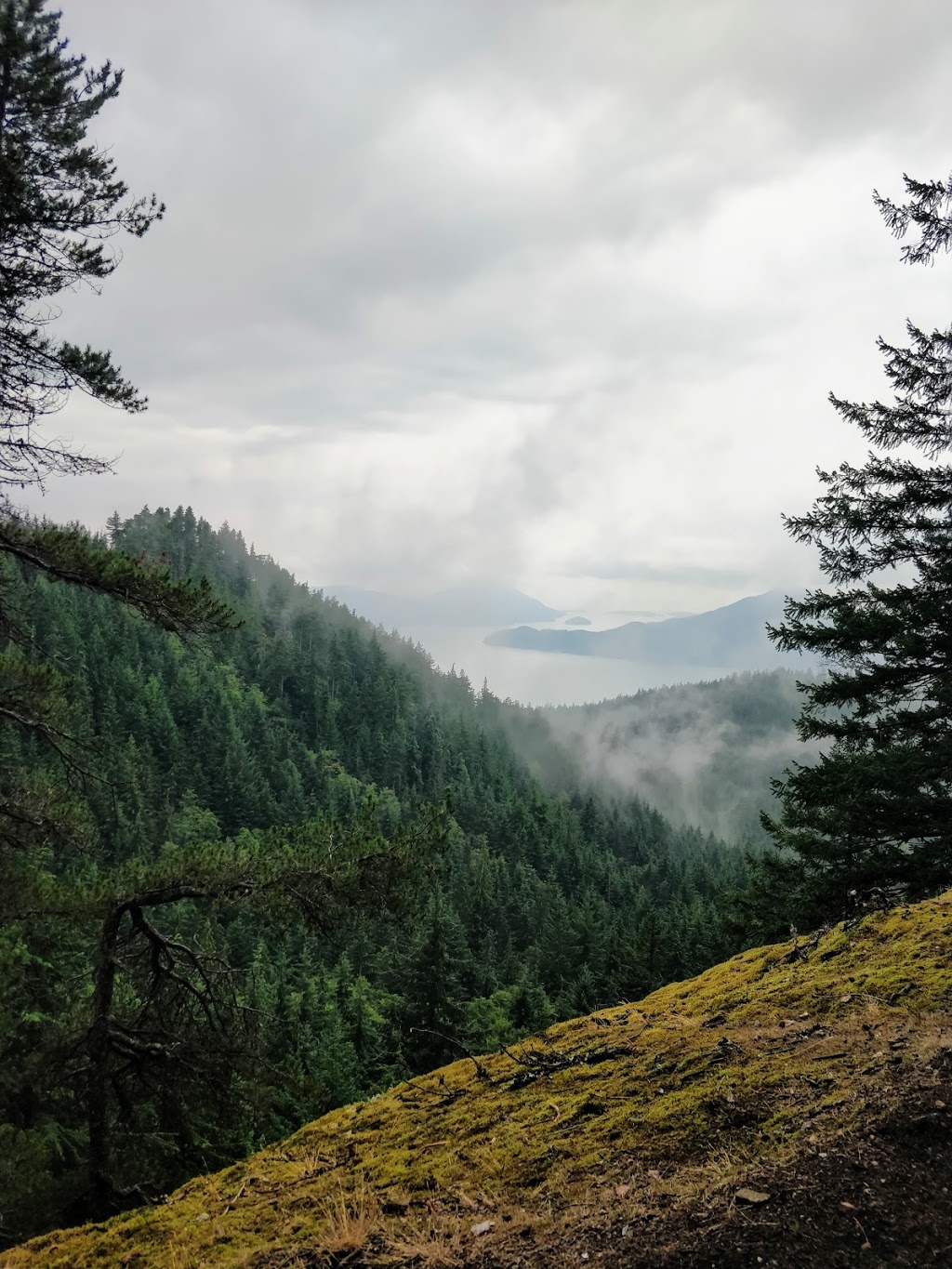 Trailblazer Lookout | Howe Sound Crest Trail, Squamish-Lillooet D, BC V0N, Canada