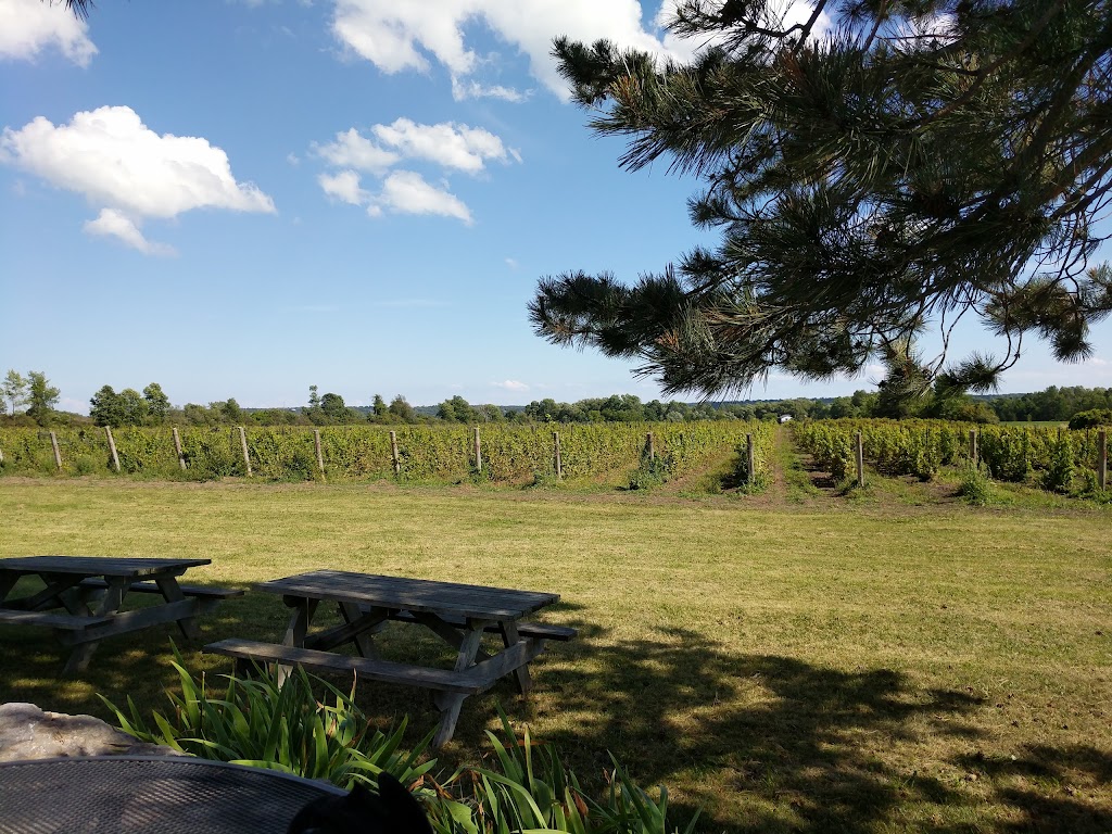 Bergeron Estate Winery and Cider Co. | 9656 Loyalist Pkwy, Bath, ON K0H 1G0, Canada | Phone: (613) 373-0181