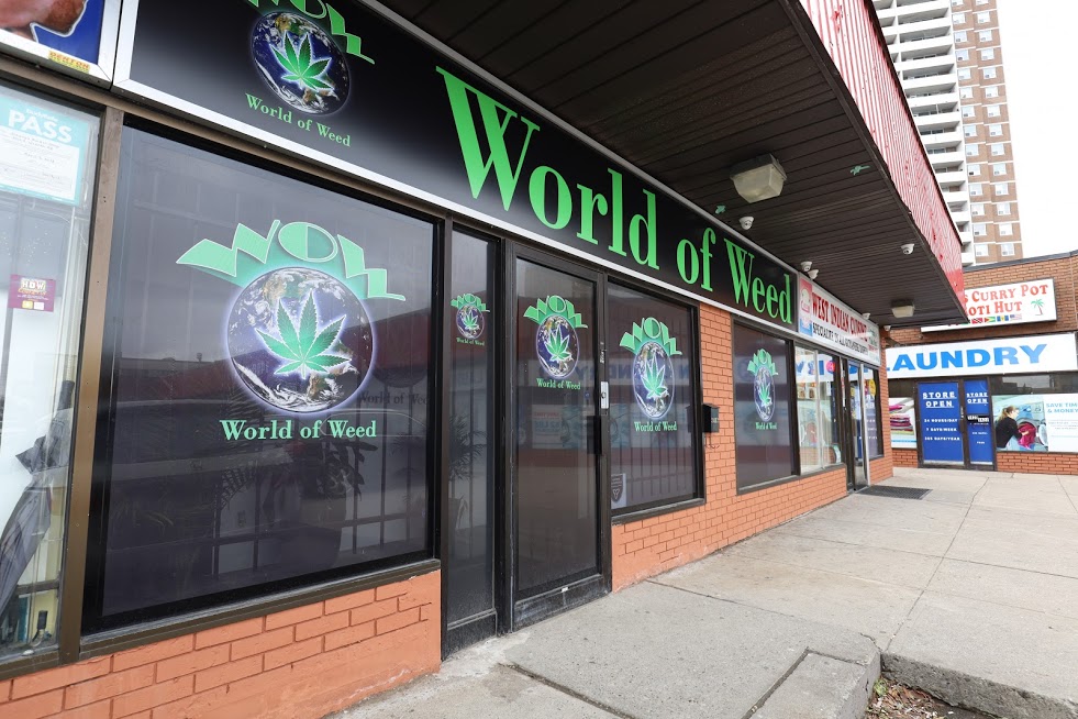 WOW WORLD OF WEED | 3412 Weston Rd, North York, ON M9M 2W2, Canada | Phone: (416) 743-1234