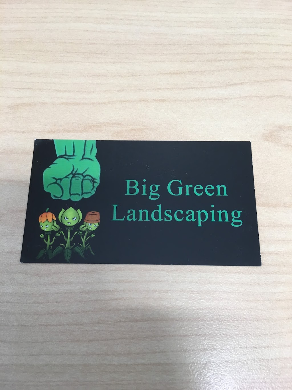 Big Green Landscaping | 296 Helen Dr, Strathroy, ON N7G 3M3, Canada | Phone: (519) 860-1377