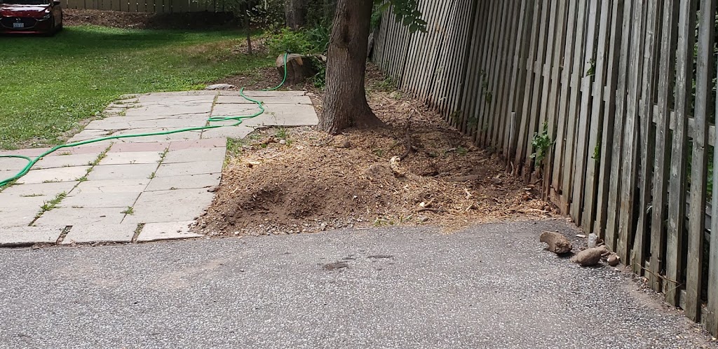 Easy Stump Removal | 10 Strollers Ln, Cheltenham, ON L7C 2B1, Canada | Phone: (905) 749-0905