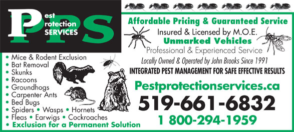 Pest Protection Services | 283 Alma St, St Thomas, ON N5P 3B9, Canada | Phone: (519) 661-6832