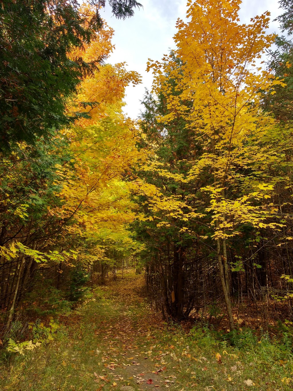 Boyne Valley Provincial Park | Shelburne, ON L0N 1S0, Canada | Phone: (705) 435-2498