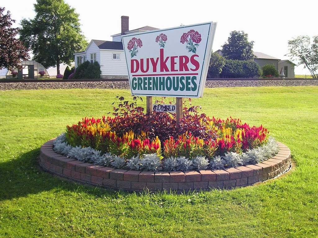 Duykers Greenhouses | 8928 NS-4, Afton Station, NS B0H 1A0, Canada | Phone: (902) 232-3092