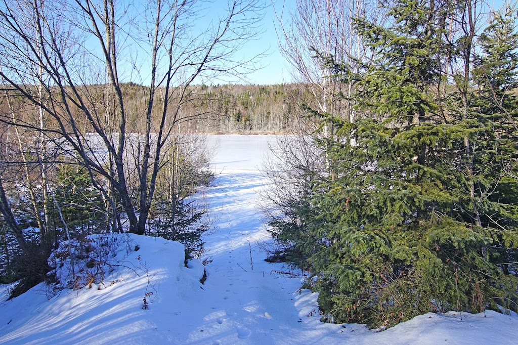 Chalets Scandik | 20 Rue du Guerrier, Sainte-Marguerite-du-Lac-Masson, QC J0T 1L0, Canada | Phone: (438) 942-8770