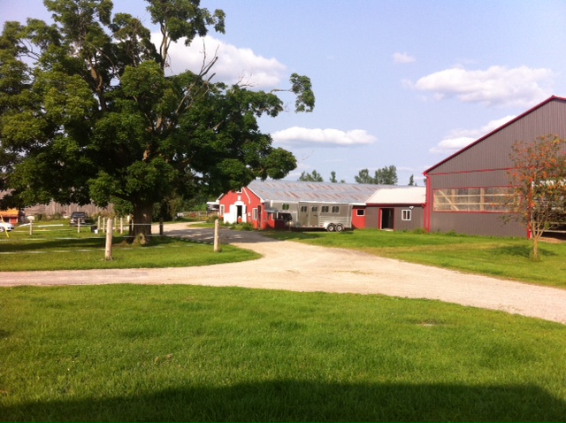 Riverview Stables | 8115 Wellington County Rd 18, Fergus, ON N1M 2W5, Canada | Phone: (519) 803-9413