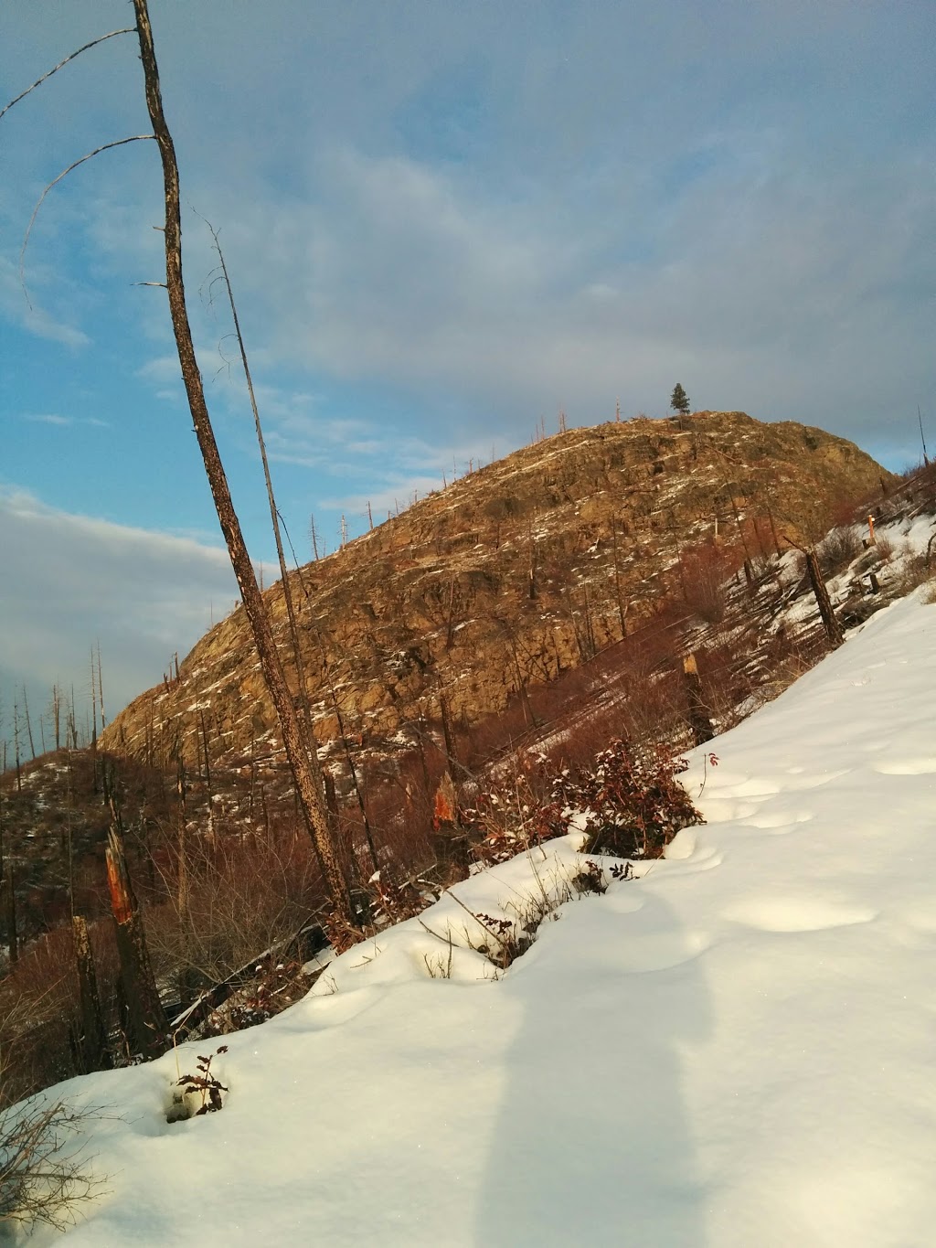 Cedar Mountain Regional Park | Southwest Mission, Kelowna, BC V1W, Canada