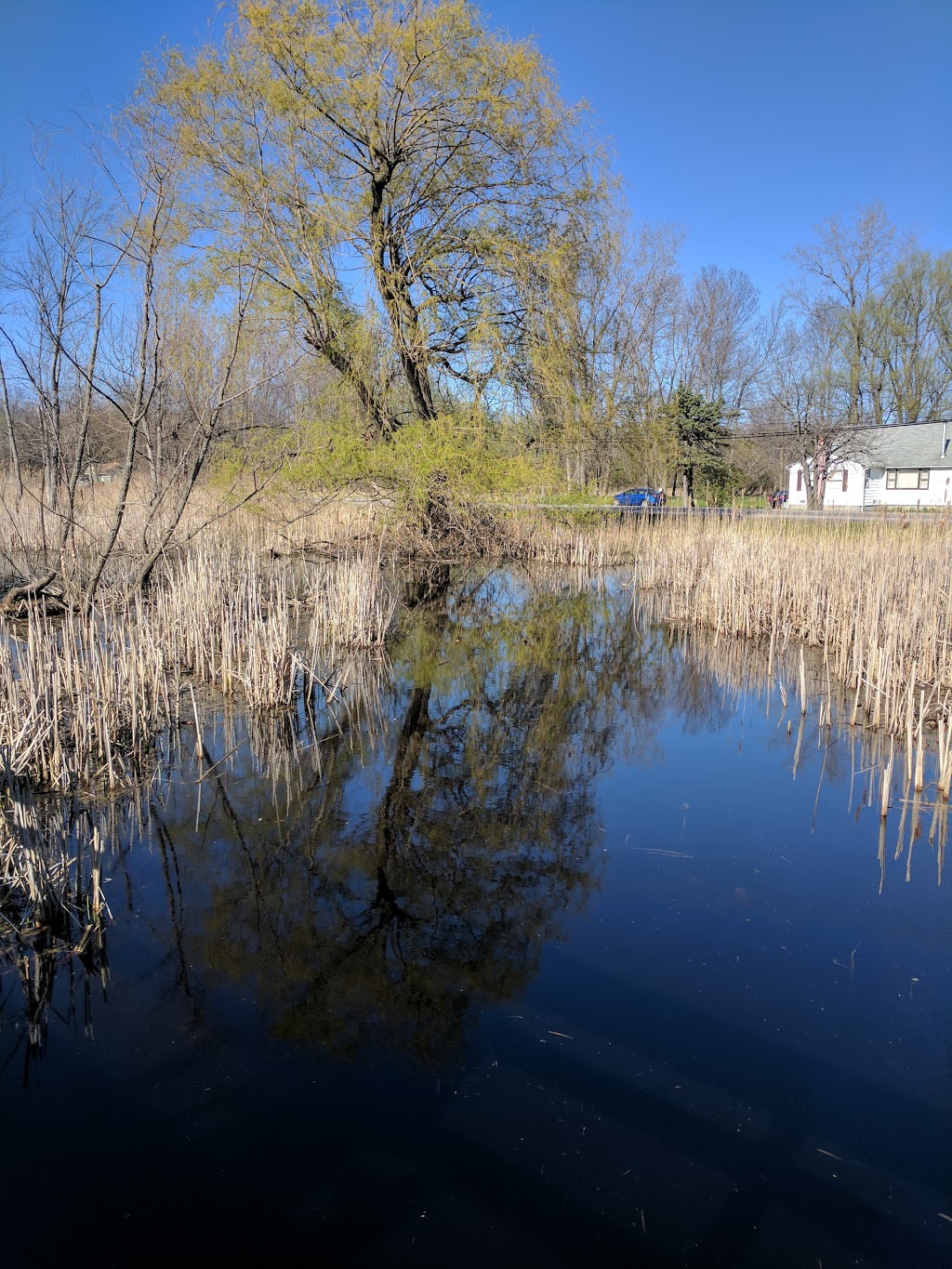 Great Baehre Conservation Park | 1005 Hopkins Rd, Buffalo, NY 14221, USA