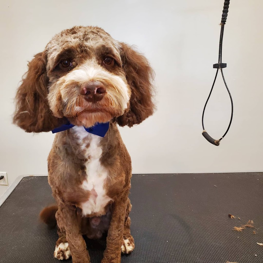 Highland Dog Grooming | 28 York St, Haliburton, ON K0M 1S0, Canada | Phone: (705) 457-3335