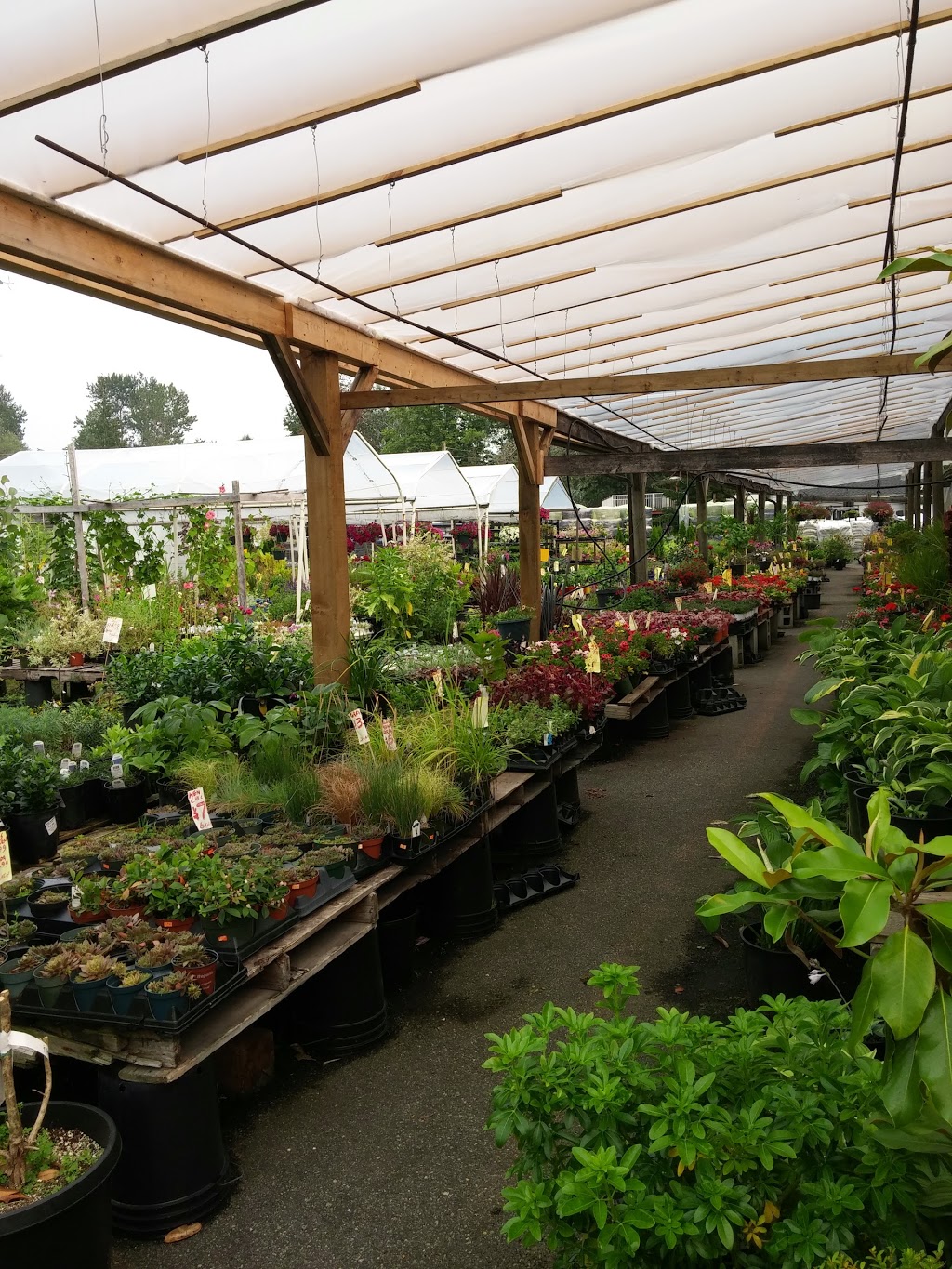 Bens Farm and Garden Center | 18341 Fraser Hwy, Surrey, BC V3S 8H6, Canada | Phone: (604) 574-4135